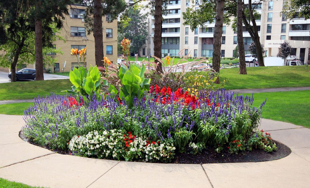 Commercial Landscaping services in Toronto