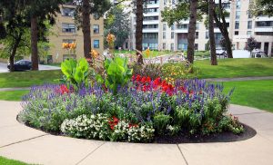 Hank Deenen Landscaping Limited photo 4