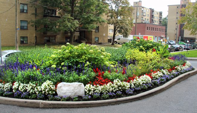 Landscaping services in Toronto