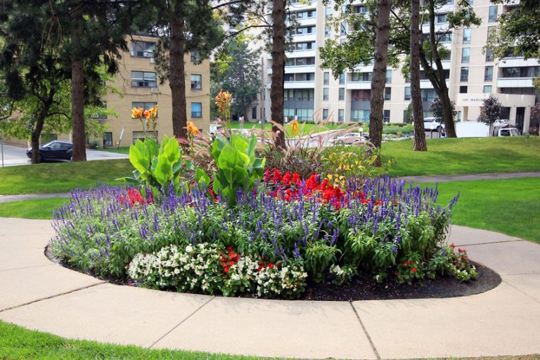 Commercial Landscaping services in Toronto