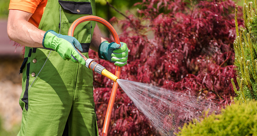 Grounds Maintenance services in Toronto
