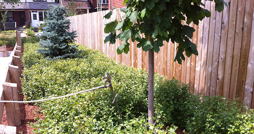 Landscaping Installation and Maintenance in the Greater Toronto Area